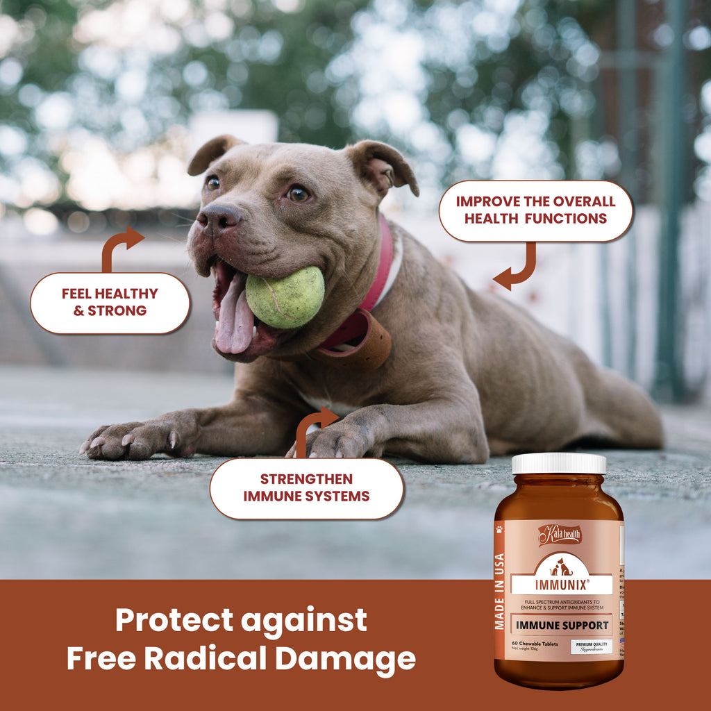 Kala Health Immunix Full Spectrum Antioxidant Pet Supplement | 2 sizes