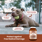 Kala Health Immunix Full Spectrum Antioxidant Pet Supplement | 2 sizes