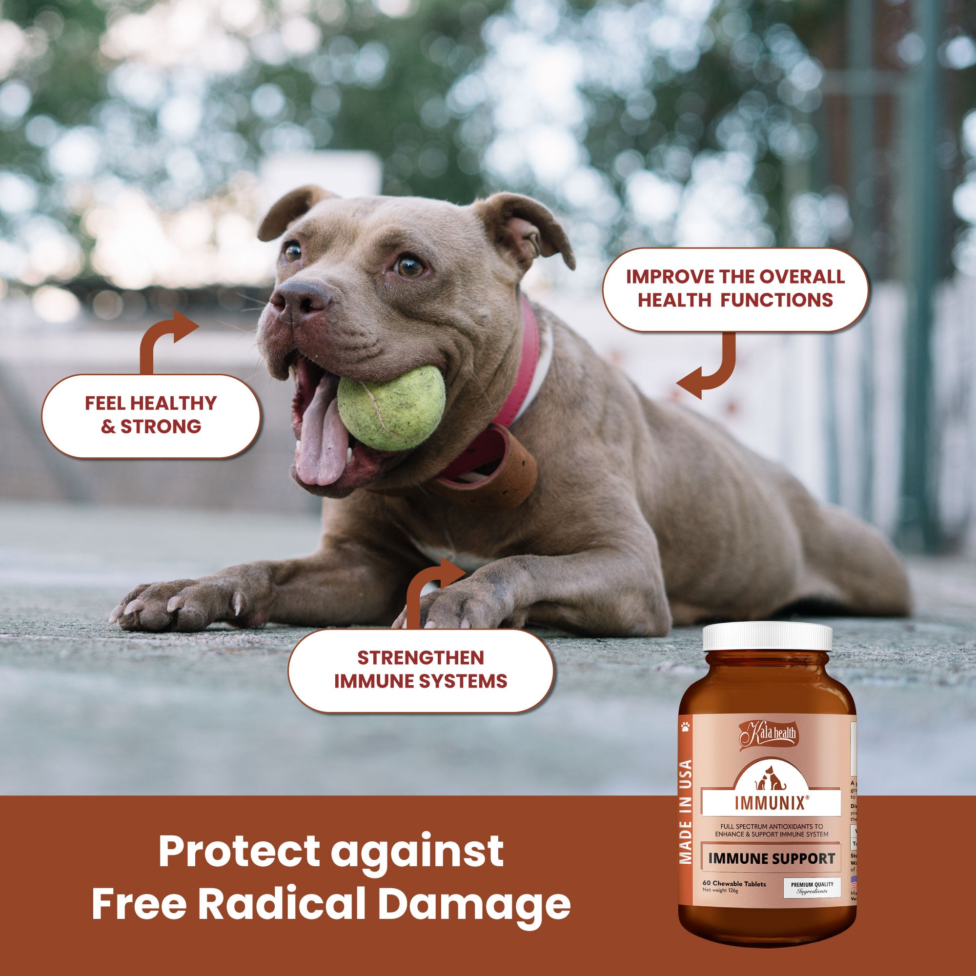 Kala Health Immunix Full Spectrum Antioxidant Pet Supplement | 2 sizes