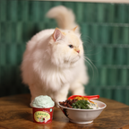 PetCubes National Day Chendol Ice Cream for Dogs & Cats 3.5 oz