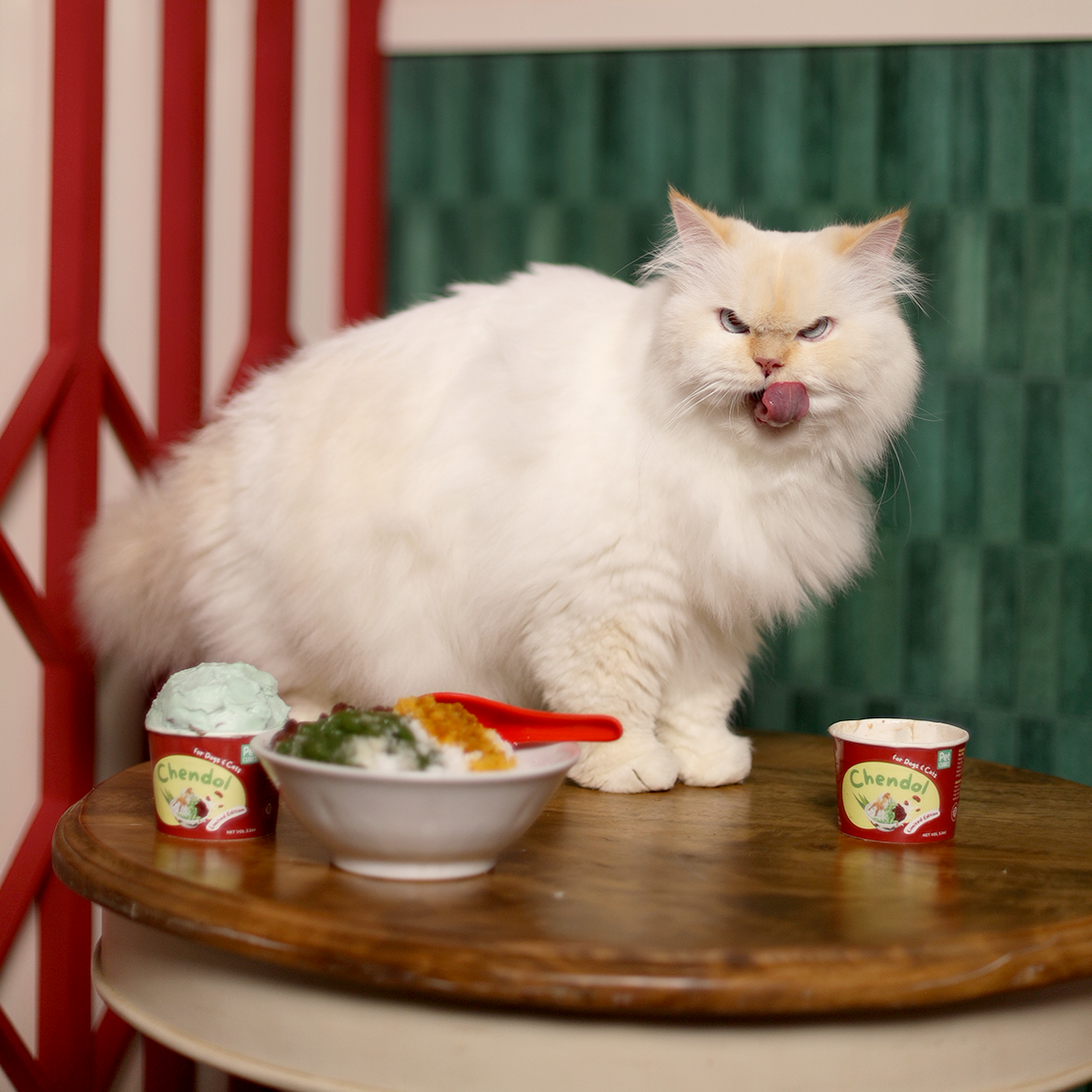 PetCubes National Day Chendol Ice Cream for Dogs & Cats 3.5 oz