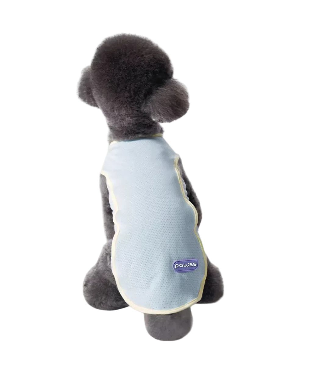 A small dark gray dog viewed from behind, wearing a light blue mesh pet vest with pale yellow trim and a visible DOWNS logo patch on the back.