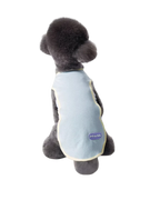 A small dark gray dog viewed from behind, wearing a light blue mesh pet vest with pale yellow trim and a visible DOWNS logo patch on the back.