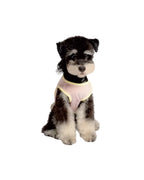 A small black and white dog wearing pawss light pink mesh pet vest with yellow trim, set against a white backgro 