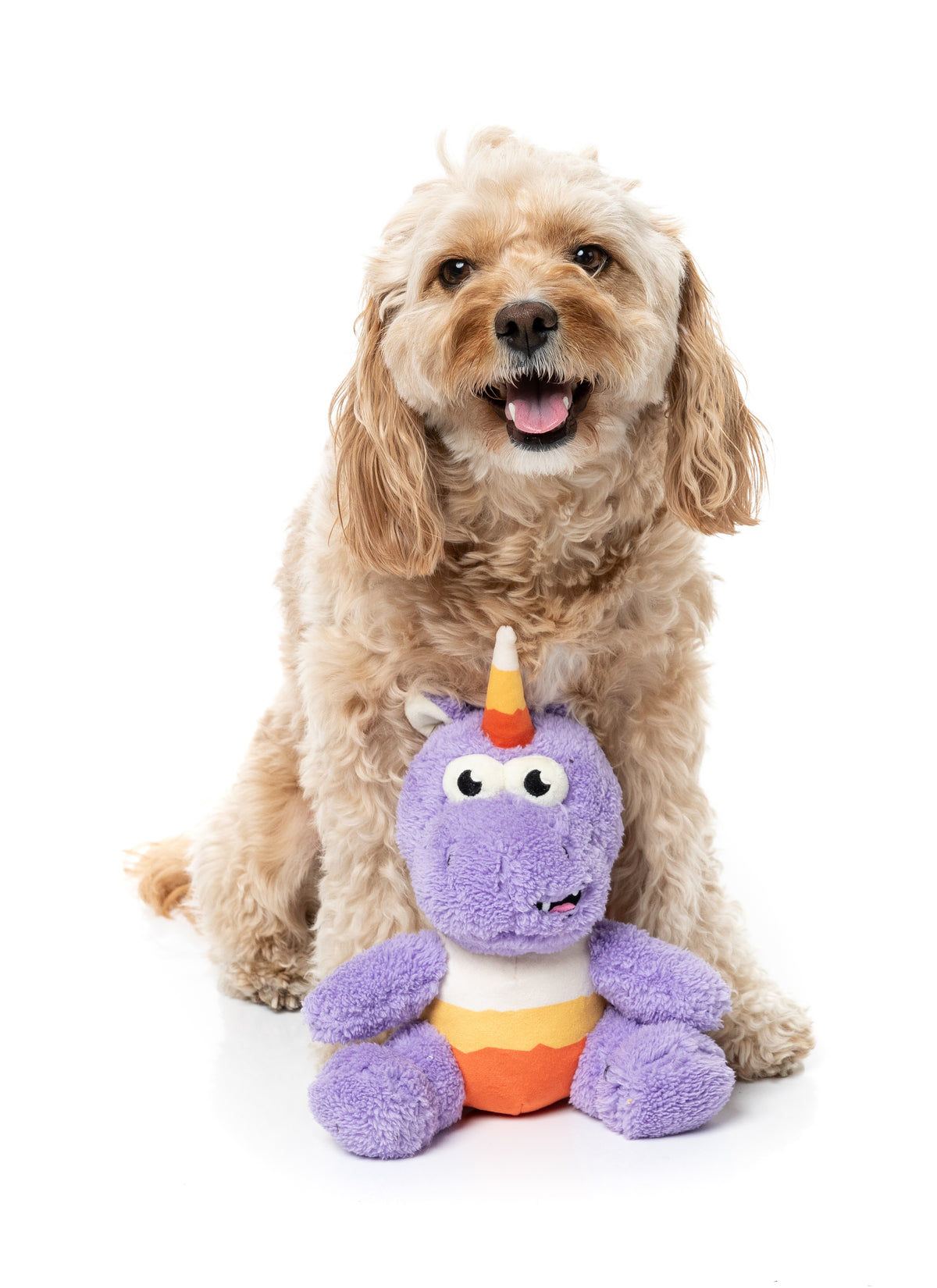 15% OFF: FuzzYard Dog Squeaky Plush Toy Halloween - Candy Corn Electra