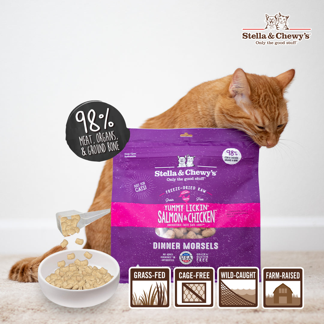 Stella & Chewy's Freeze-Dried Cat Dinner Morsels - Chick,Chick,Chicken - 2 sizes