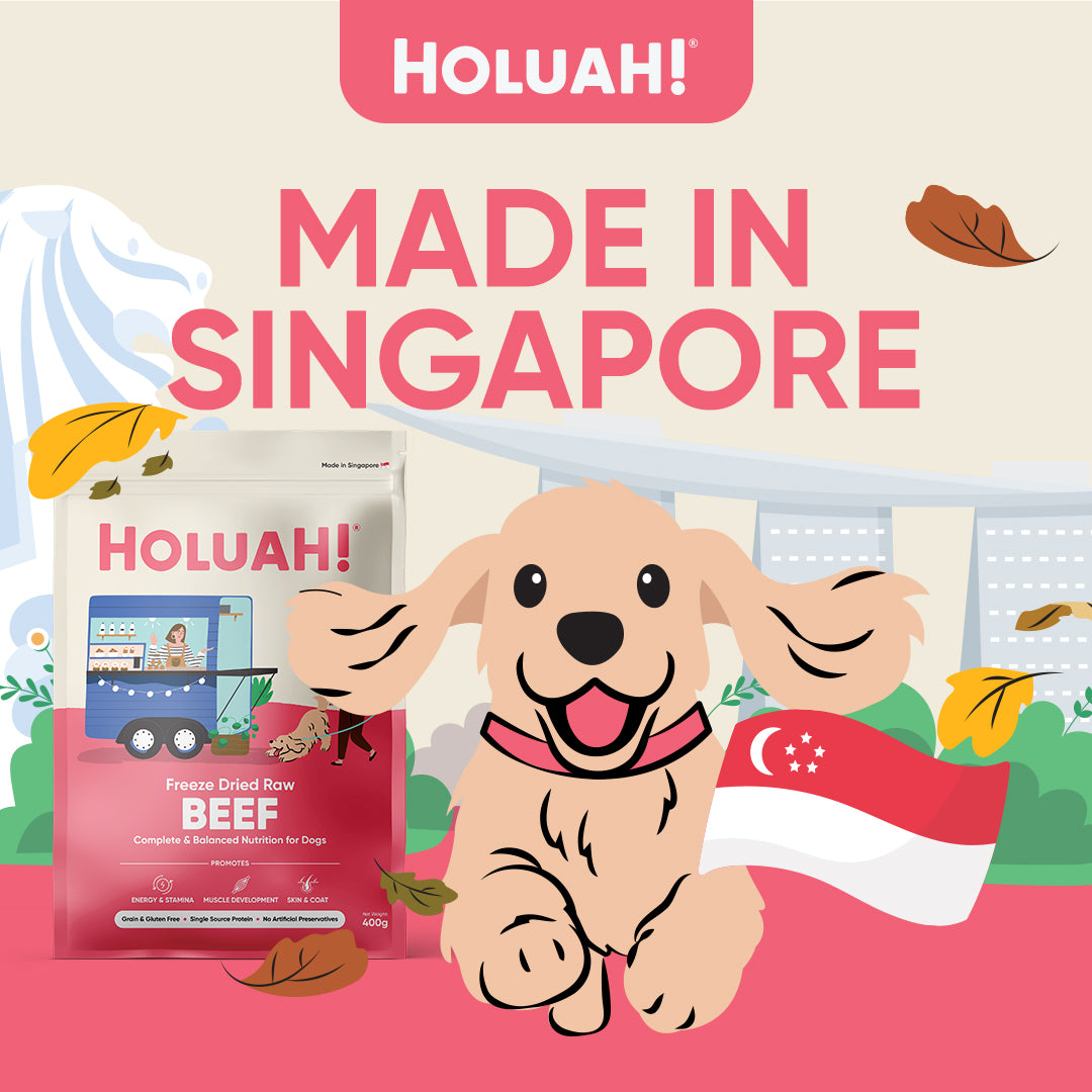 Holuah! Freeze Dried Raw Dog Food - Beef
