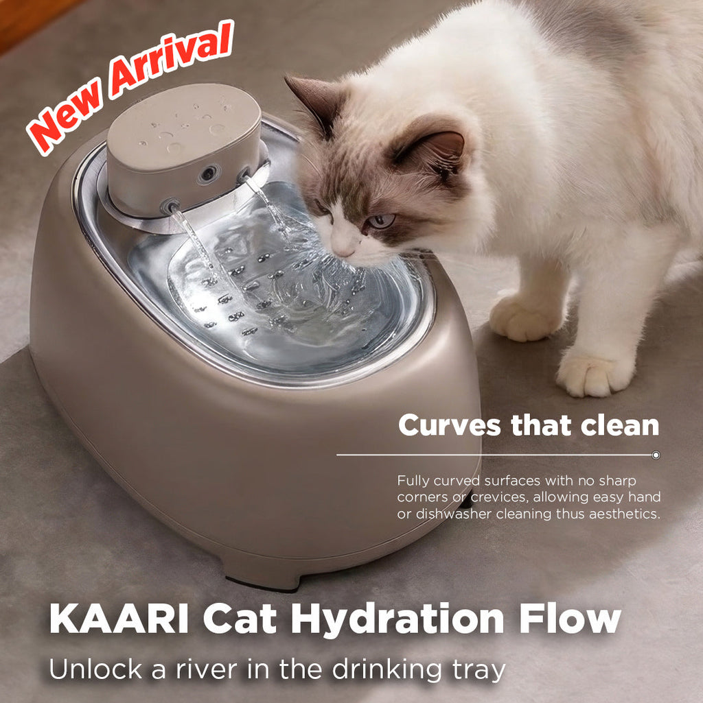 Momi Kaari Hydration Flow Standard - Sofia Brown | Stainless Cat Water Fountain Cordless Rechargable BPA-Free