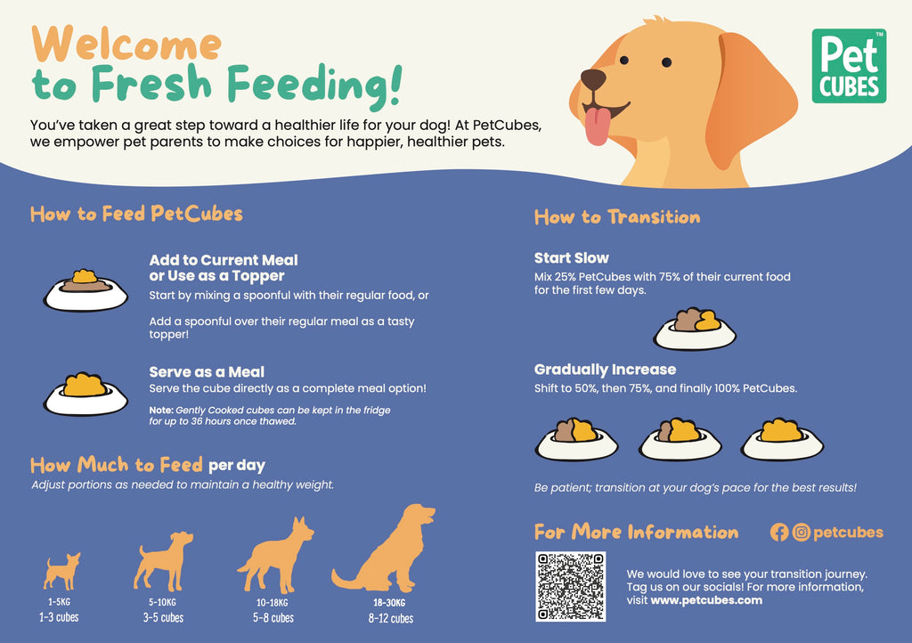 petcubes-fresh-dog-food-feeding-guideline