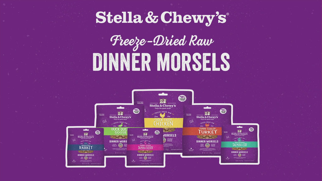 how to feed stella and chewys freeze dried dinner morsels for cat
