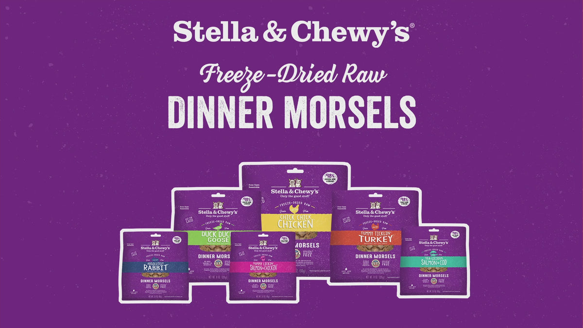 how to feed stella and chewys freeze dried dinner morsels for cat