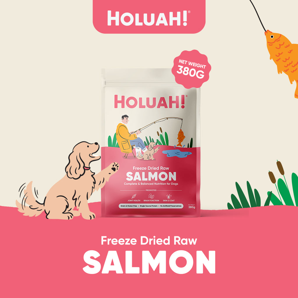 Holuah! Complete & Balanced Freeze Dried Raw Dog Food - 4 recipes