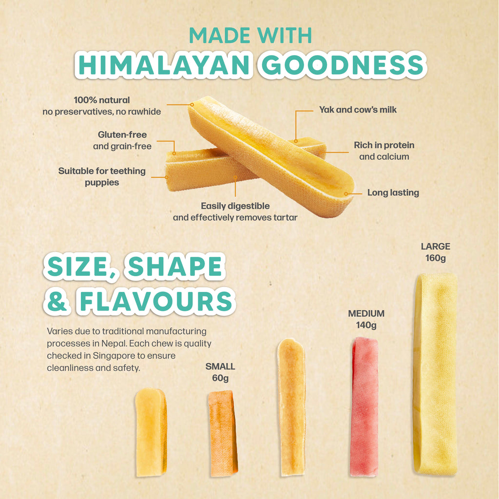 singapaw himalayan yak chew dental treat for dogs and teething puppies in 3  sizes and 5 flavours