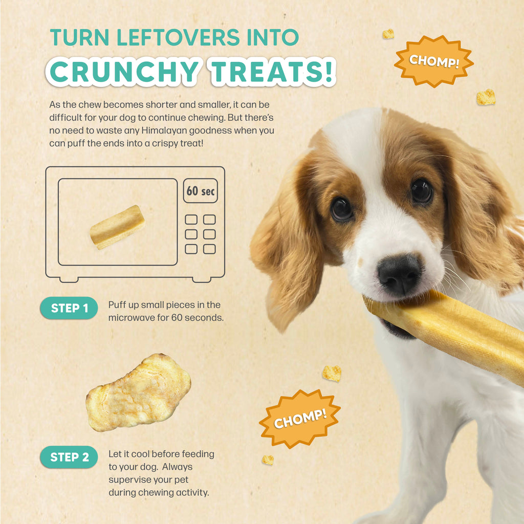 puppy chewing on a himalayan yak chew cheese bar with guidel on how to  make crunchy crispy treats from leftover himalayan yak chew.