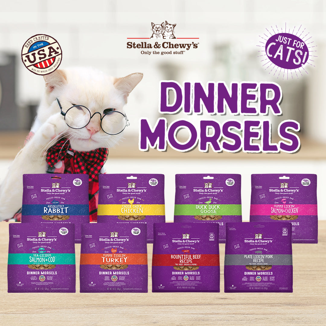 Stella & Chewy's Freeze-Dried Cat Dinner Morsels - Chick,Chick,Chicken - 2 sizes