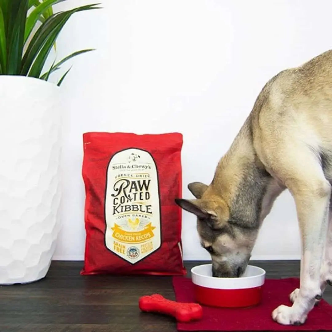 Stella & Chewy's Raw Coated Cage Free Chicken Grain Free Dry Dog Food 10kg 22lb