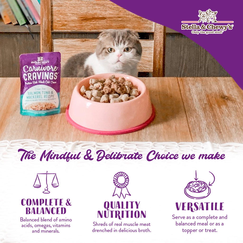 A Scottish Fold cat sitting at a wooden table behind a pink bowl of food next to a pouch of Stella & Chewy's Carnivore Cravings Salmon, Tuna & Mackerel wet cat food. The graphic details three product benefits: Complete and Balanced wet food with shreds of real muscle meat in delicious broth; and Versatile use as a complete meal, topper, or treat.