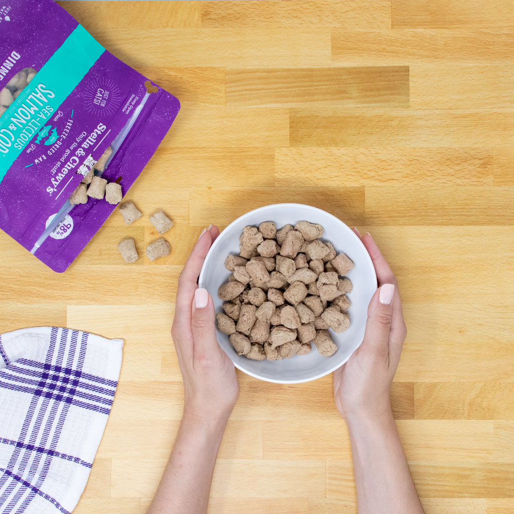 A top-down view of a person holding a bowl filled with small freeze dried morsels from Stella and Chewys. 