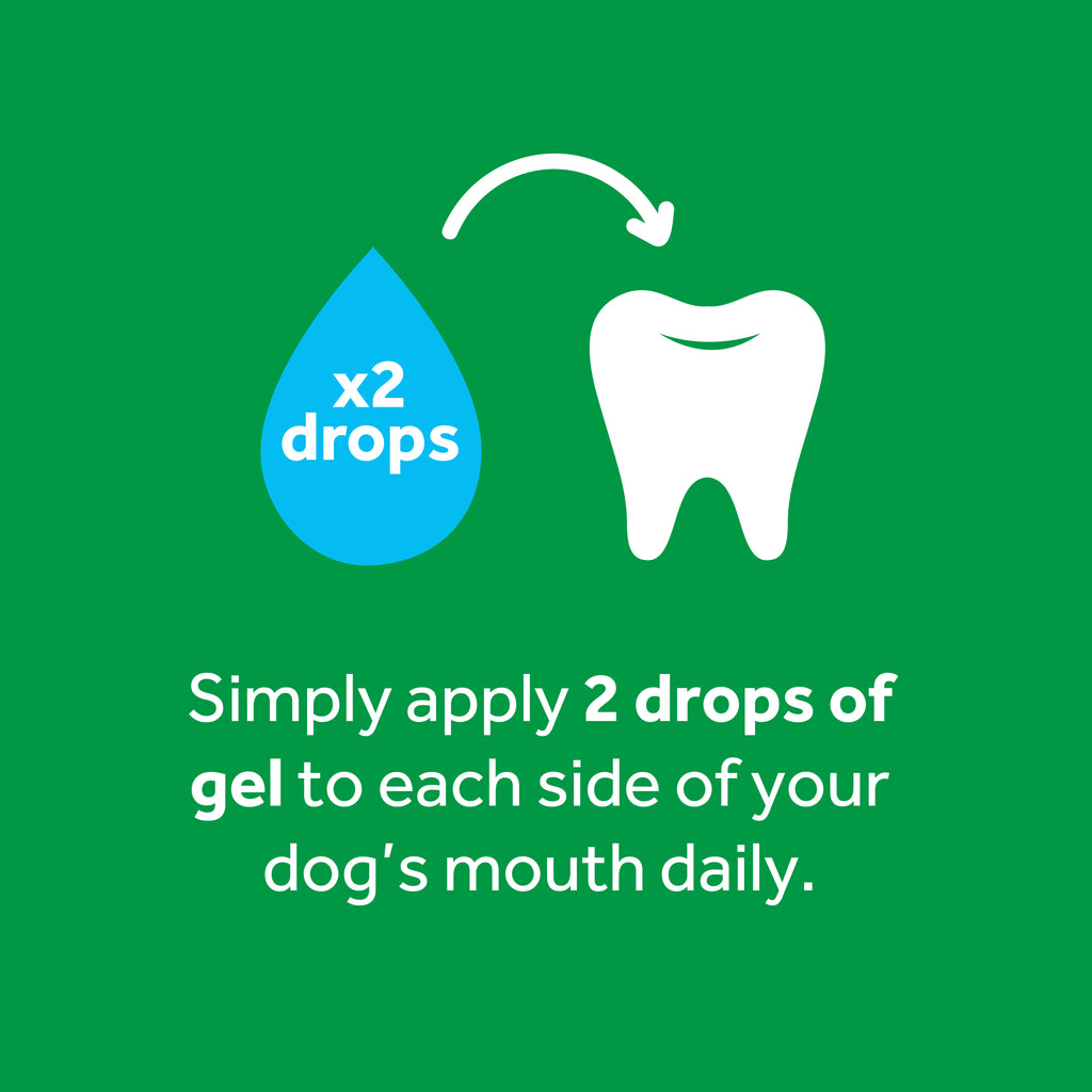 tropiclean fresh breath teeth gel dog Instruction graphic on a green background showing text that says 'Simply apply 2 drops of gel to each side of your dog's mouth daily.'.