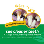 Tropiclean Fresh Breath Dog Clean Teeth Gel Oral Care 4oz 118ml