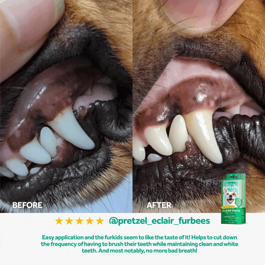 Tropiclean Fresh Breath Dog Clean Teeth Gel Oral Care 4oz 118ml