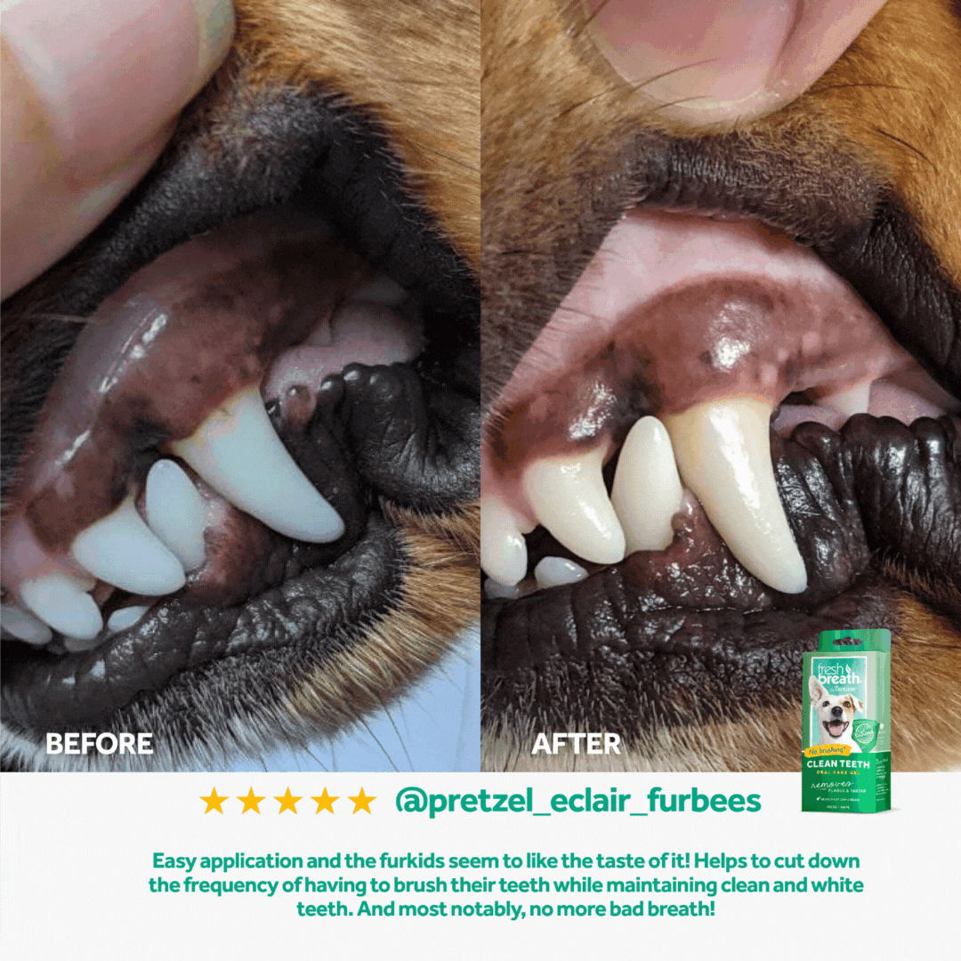 Tropiclean Fresh Breath Dog Clean Teeth Gel Oral Care 4oz 118ml