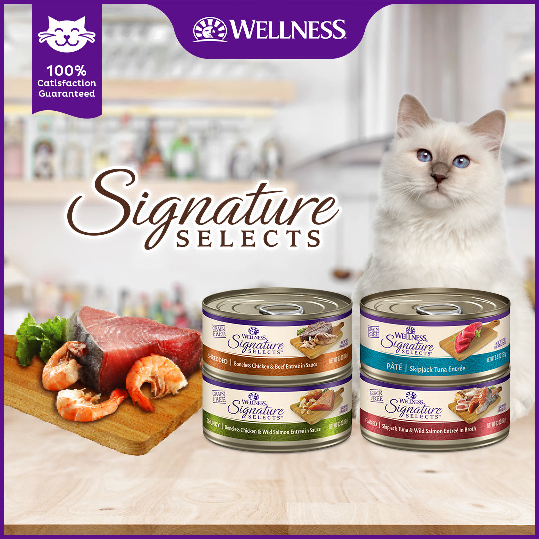 [Mix N Match] Wellness CORE Wet Cat Food Signature Selects Small Can 2.8oz