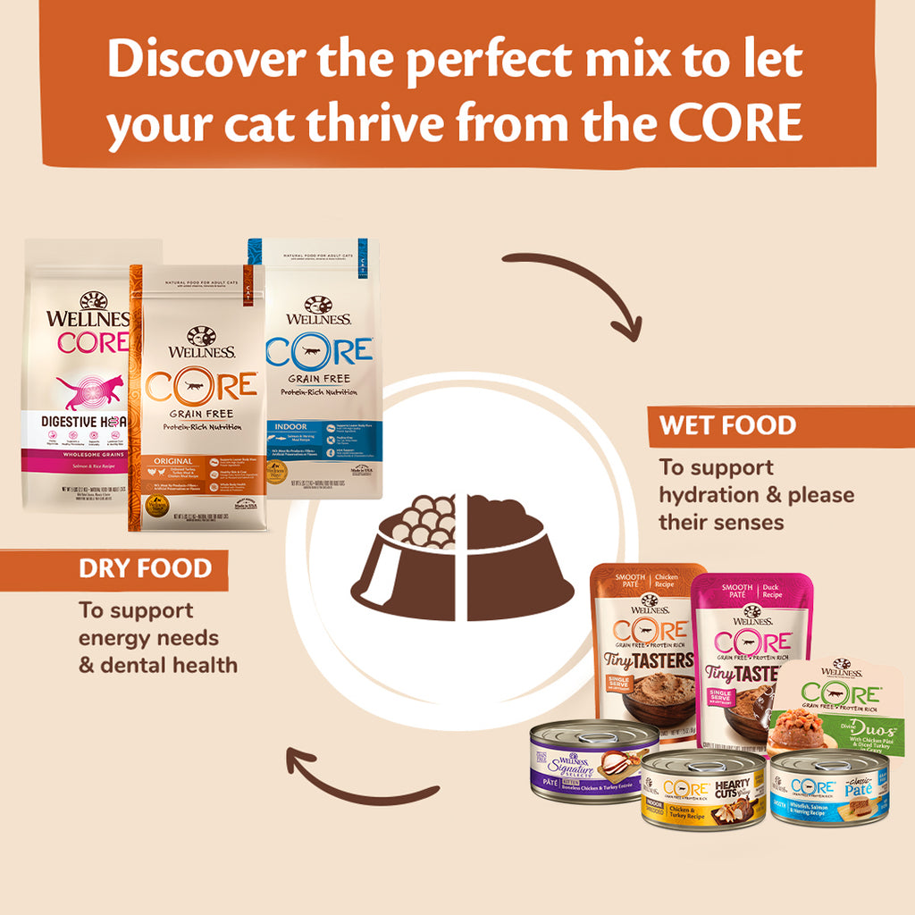 [Mix N Match] Wellness CORE Wet Cat Food Signature Selects Small Can 2.8oz