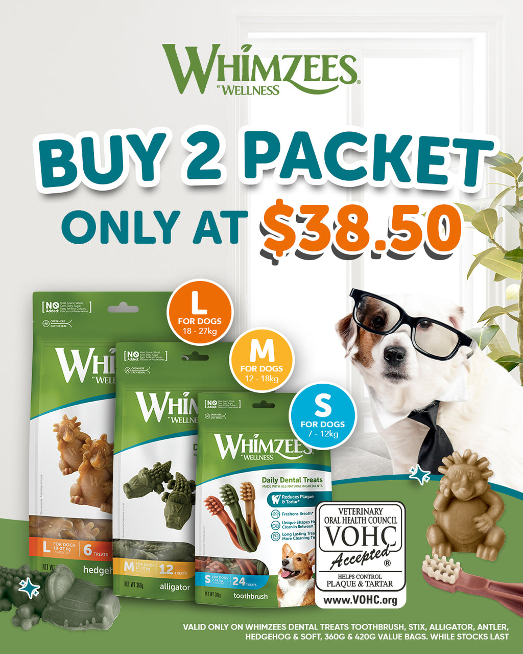 Promotional flyer for a Whimzees Wellness dog dental treat packet bundle. The image features three green and white packets for L, M, and S sizes alongside a white dog wearing glasses and a bow tie, with a white background and decorative elements.