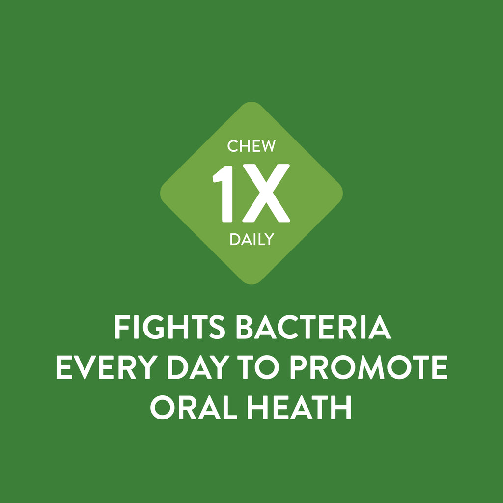 chew whimzees dental dog treat a day to fight bacteria everyday