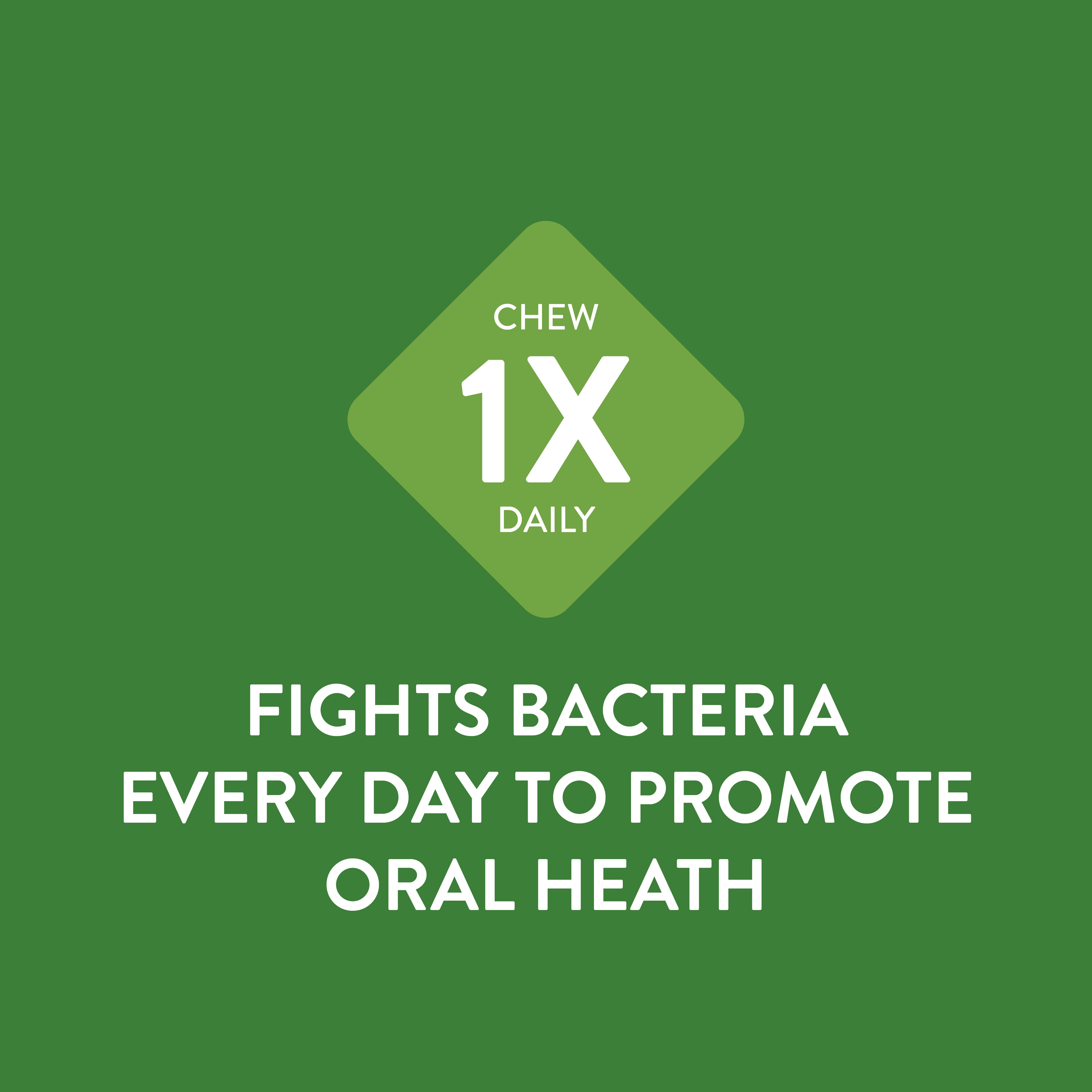 chew whimzees dental dog treat a day to fight bacteria everyday